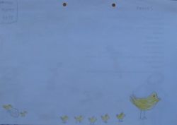 08 Notre Poule Et Ses Poussins Par Audrey